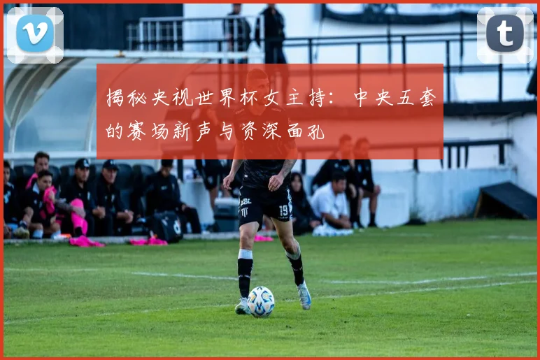 揭秘央视世界杯女主持：中央五套的赛场新声与资深面孔