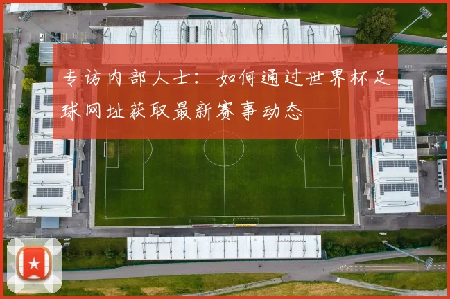专访内部人士：如何通过世界杯足球网址获取最新赛事动态