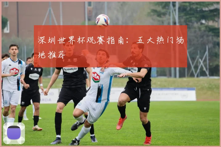 深圳世界杯观赛指南：五大热门场地推荐