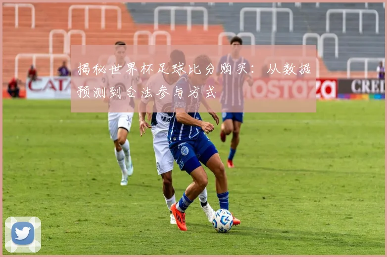 揭秘世界杯足球比分购买：从数据预测到合法参与方式